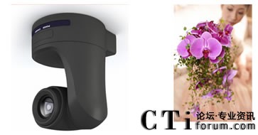 �������^���r��������